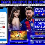 BUKTI JACKPOT PGSOFT 24/AGUSTUS/2025