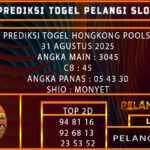 PREDIKSI TOGEL HONGKONG POOLS 31 AGUSTUS 2025