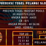 PREDIKSI TOGEL INDOSAT POOLS 30 AGUSTUS 2025