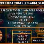 PREDIKSI TOGEL SINGAPORE POOLS 24 AGUSTUS 2025