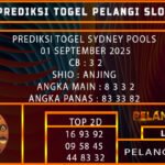 PREDIKSI TOGEL SYDNEY POOLS 01 SEPTEMBER 2025