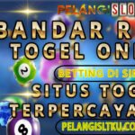 wp togel