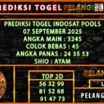 4 idt