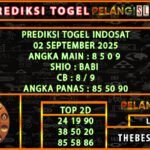 6 idt