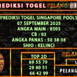 8 sgp