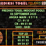 9 idt