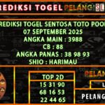 9 stt